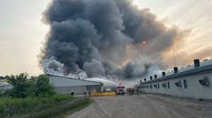 temp_image_1784075252.09494 Tragedy in Ontario: 20,000 Hogs Perish in Massive Norfolk County Barn Fire