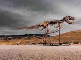temp_image_1784128959.370656 The $50 Million King: Record-Breaking Tyrannosaurus Rex Fossil 'Gus' Sells at Auction