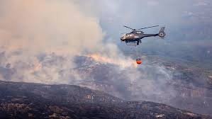 temp_image_1784141295.054727 Killarney National Park Under Threat: The Devastating Impact of Human Negligence