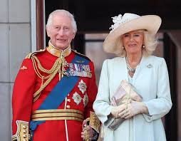 temp_image_1784239989.639947 The Secret Reunion: How Queen Camilla Supported King Charles During Prince Harry's Surprise Visit