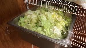 temp_image_1784333553.399419 Lettuce Parasite Outbreak: Everything You Need to Know to Keep Your Salads Safe