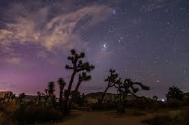 temp_image_1784355323.55844 Perseid Meteor Shower: Your Ultimate Guide to the Year's Most Spectacular Celestial Show