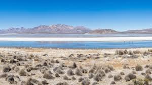 temp_image_1784369239.771533 The Art and Science of Weather Forecasting: Exploring the Diverse Climates of Peru
