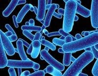 temp_image_1784373547.347068 The Hidden Truth About Sweeteners: How They Impact Your Gut Microbiome