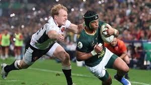 temp_image_1784432566.034271 South Africa Dominates: Springboks Crush Wales 43-0 in a Rugby Masterclass