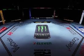 temp_image_1784436496.305123 UFC Events: Explosive Oklahoma City Prelims Recap | Du Plessis vs Usman