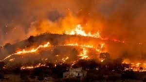 temp_image_1784522085.538376 Europe Under Fire: The Devastating Impact of 2026's Wildfires and Heatwaves