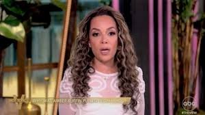 temp_image_1784627910.542325 Sunny Hostin: Bodycam Video Sparks Controversy After Plea for Leniency in Son's Trespassing Case