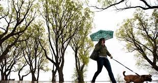 temp_image_1784631481.254284 Toronto Weather: Fresh Air Returns as the City Braces for a Mixed Week Ahead