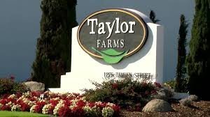 temp_image_1784656437.679749 Lettuce Parasite: Is Your Salad Safe? How to Prevent Contamination