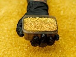 temp_image_1784658956.563415 Cadillac Mines Corporation: Leading the Future of Gold Mining in Quebec