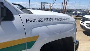 temp_image_1784724596.510257 Fisheries Fines: DFO Issues Heavy Penalties for Illegal Fishing in Eastern Quebec