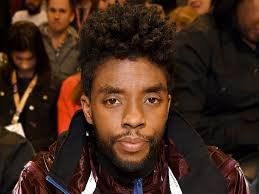 temp_image_1784758692.349342 The Battle for Chadwick Boseman's Legacy: Brothers Seek to Remove Widow as Estate Administrator