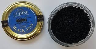 temp_image_1784808088.787177 South Korea Michelin Star Ants: High-End Dining Meets Legal Trouble