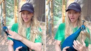 temp_image_1784876137.04493 Amanda Seyfried's Whimsical Life: A Glimpse Into Her Catskills Animal Sanctuary