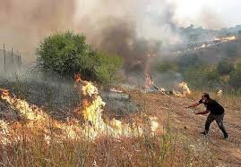 temp_image_1784967848.401342 Inferno in the Sierra: Catastrophic Wildfires Devastate Madrid and Ávila