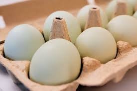 temp_image_1785074114.07131 Egg Recall 2026: Is Your Breakfast Safe? Everything You Need to Know