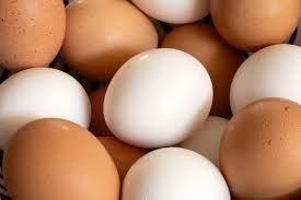temp_image_1785102592.19641 Salmonella Warning: Massive Egg Recall Alert – What You Need to Know