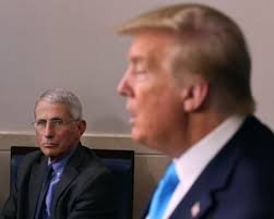 temp_image_1785194313.033306 Inside Anthony Fauci's Private Diaries: The Shocking Truth About Trump and the COVID-19 Crisis