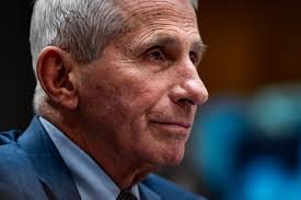 temp_image_1785466887.41145 Fauci Pleads the Fifth: Understanding the Legal Controversy and Its Implications