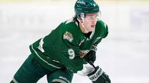 temp_image_1785719388.24975 Hlinka Gretzky Cup 2026: Everything You Need to Know About the Future of Hockey
