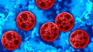 temp_image_1785780620.889827 Understanding Cyclosporiasis: Symptoms, Causes, and Prevention Tips