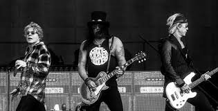 temp_image_1785976147.119886 The Ultimate Guide to Rogers Stadium Concerts: Experience the Magic of Live Music