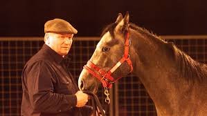temp_image_1785992392.010605 Queen Elizabeth and the Art of Horse Whispering: Monty Roberts at the Royal Mews