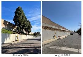 temp_image_1786015334.247184 The Cost of Convenience: 91 Freeway Expansion and the Loss of Urban Greenery