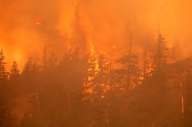 temp_image_1786100733.457288 CBC’s Climate Coverage Gap: Why the Public Broadcaster Must Address Fossil Fuels