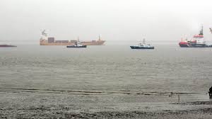 temp_image_1786117940.40726 The Giants of the Ocean: How Cargo Ships Power the Global Economy