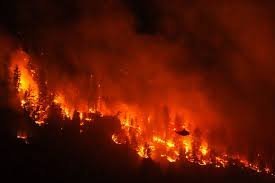 temp_image_1786263067.164534 Climate Change Doubled the Risk of Canada's Devastating Wildfires: A New Weather Study