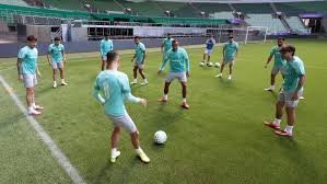 temp_image_1786301347.670117 Palmeiras vs Internacional: Lineup Updates and Tactical Insights for the Brasileirão Clash