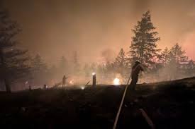 temp_image_1786344004.975511 British Columbia Battles Unprecedented Wildfires: Fast-Moving Blazes Trigger Mass Evacuations