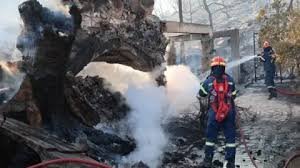 temp_image_1786925582.634842 Heroic Efforts: Firefighters Battle Devastating Wildfires on Greece's Salamina Island