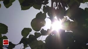 temp_image_1786975465.233121 Tulsa Weather Alert: Surviving the Brutal 40-Day Triple-Digit Heatwave