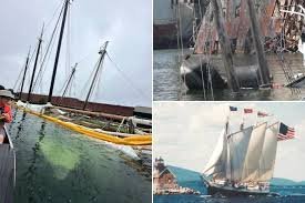 temp_image_1786979433.982356 From Maritime Icons to Garbage: The Tragic Fate of Brooklyn's Sunken Historic Ships