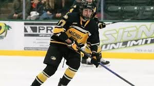temp_image_1787035557.0527 Carolina Hurricanes Bolster Depth: Acquire Prospect Stiven Sardarian from Buffalo Sabres