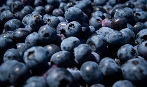temp_image_1787161049.040292 Blueberry Recall: What You Need to Know to Keep Your Family Safe