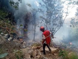 temp_image_1787208196.594166 Tragedy in Kenya: Fashion Icon Stephany Hollihan and Others Perish in Helicopter Crash