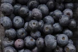 temp_image_1787339049.348832 Blueberry Recall: Is Canada Affected by the E. coli Outbreak?