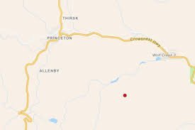 temp_image_1787468587.598636 Lightning-Sparked Wildfire Erupts Near Princeton: BC Wildfire Service Responds