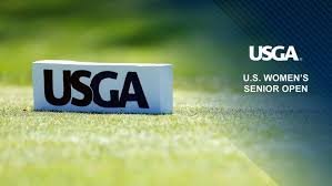 temp_image_1787525456.976071 LPGA Leaderboard Today: Live Scores and Latest Women's Golf Standings