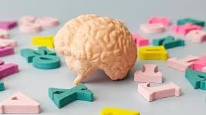 temp_image_1787566798.819272 Can Language Learning Keep Your Brain Younger? New Research Reveals Stunning Benefits