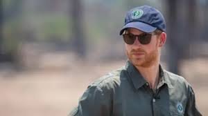 temp_image_1787640379.072937 Prince Harry Quits African Charity Amid Human Rights Controversy: What You Need to Know