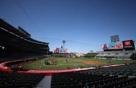 temp_image_1787983467.047403 The Los Angeles Angels: A Legacy of Passion and the Pursuit of a World Series