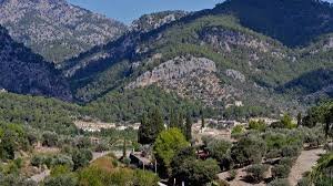 temp_image_1788068839.19434 Mallorca Cycling Safety: Critical Accident in the Serra de Tramuntana