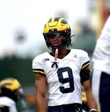 temp_image_1788265488.460564 Michigan Wolverines Football
