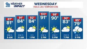 temp_image_1788426556.554675 What is a Heat Index? Understanding the 'Feels Like' Temperature for Your Safety