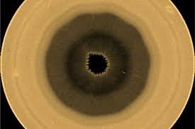 temp_image_1788469272.941098 The Mystery of the Saturn Decagon: A Giant 10-Sided Storm Uncovered